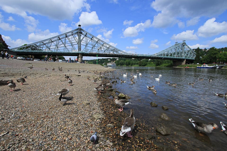 The Blaues Wunder's pale steel truss bridge spanning the Elbe under a blue sky with white clouds, geese and ducks on the shingle bank in the foreground.